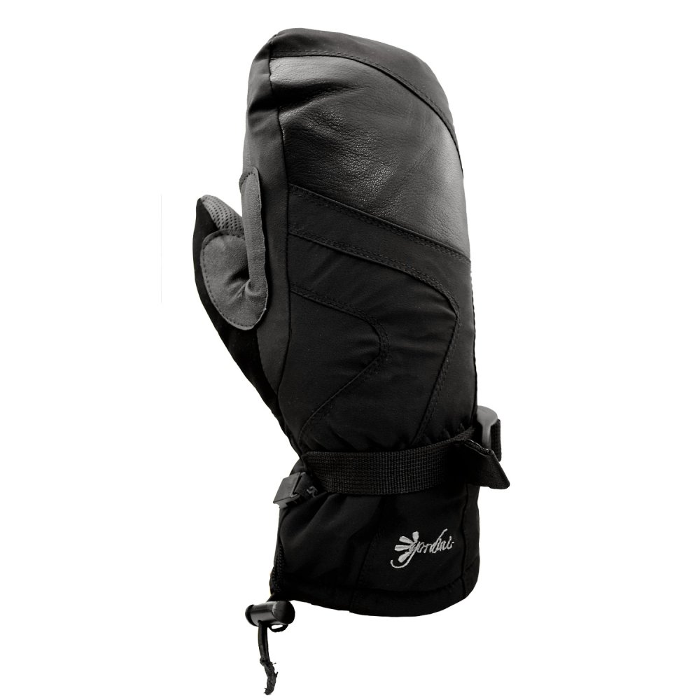Gordini Storm Trooper GORETEX Mitten (Women's) Peter Glenn