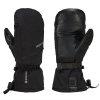Gordini Da Goose GORE-TEX Mitt (Men's)