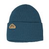 Coal The Coleville Beanie (Adults')