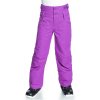 Roxy Diversion Insulated Snowboard Pant (Girls')