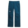 The North Face Freedom Insulated Ski Pant (Men's)