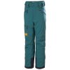 Helly Hansen Elements Insulated Ski Pant (Kids')