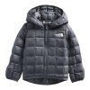 The North Face Baby Thermoball Hooded Jacket (Infants')