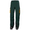 Helly Hansen ULLR D Insulated Ski Pant (Men's)