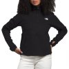 The North Face Alpine Polartec 100 1/4-Zip Cowl Fleece Mid-Layer (Women's)