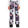 Roxy Backyard Printed Insulated Snowboard Pant (Girls')