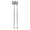 Leki Quantum Ski Poles