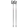 Leki QNTM Ski Poles