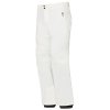 Descente Stock Insulated Ski Pant (Men's)