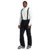 Spyder Bormio GORE-TEX Insulated Ski Pant (Men's)