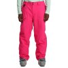 Spyder Seventy Insulated Ski Pant (Men's)