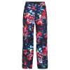 Obermeyer Brooke Print Insulated Ski Pant (Girls')