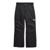 The North Face Freedom Insulated Ski Pant (Boys')