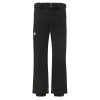 Descente Swiss Insulated Ski Pant (Men's)