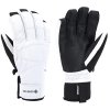 Kombi Paradigm GORE-TEX Glove (Women's)