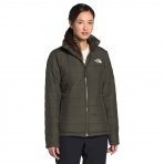 north face immaculator