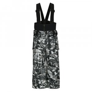 Obermeyer Warp Insulated Ski Pant (Little Boys')